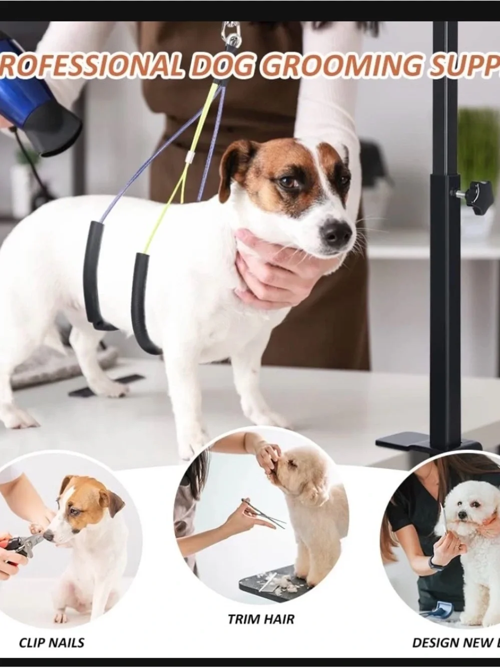 Professional Dog Grooming Noose Restraint - White & Brown Dog